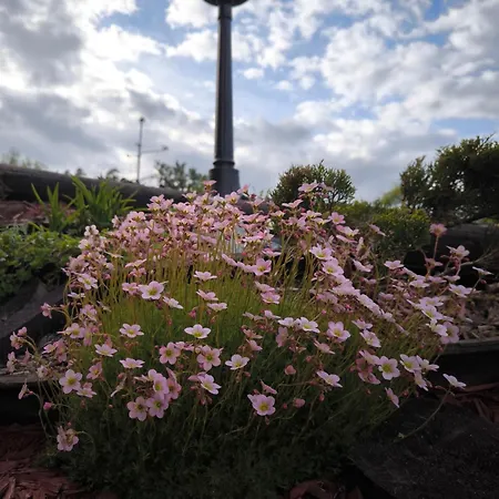 Chalet Vissi Puhkemaja Vissi (Tartu)