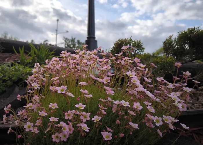 샬레 Vissi Puhkemaja Vissi (Tartu)